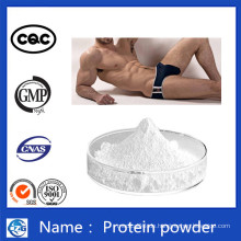 11096-37-0 Menschliches Transferrin Holo-Transferrin Whey Proteine ​​Pulver